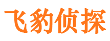 龙游侦探公司